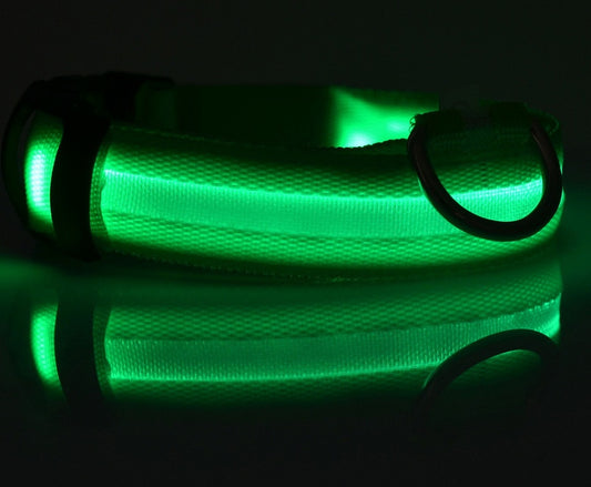 Premium LED Pet Collar Night.