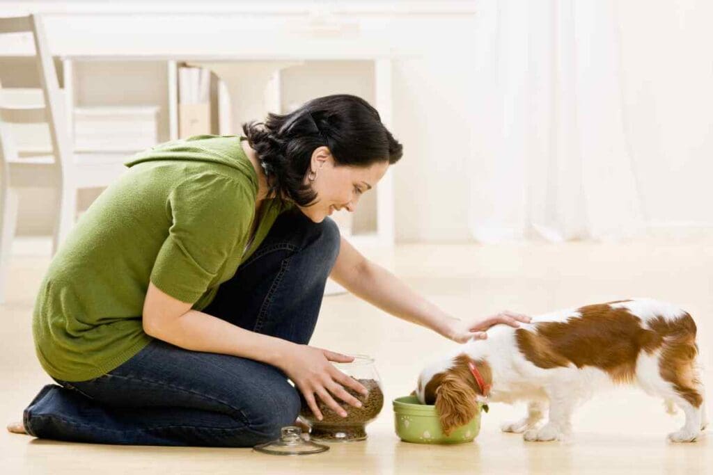 "A clean, high-resolution lifestyle photo of a modern automatic pet water fountain and a sleek food bowl set on a minimalist floor. A calm cat and dog are nearby, highlighting a healthy and hydrated pet lifestyle."