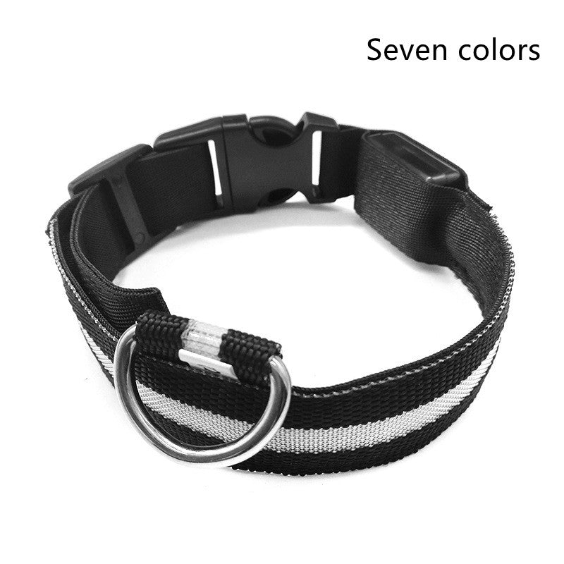 Premium LED Pet  Collar Night.