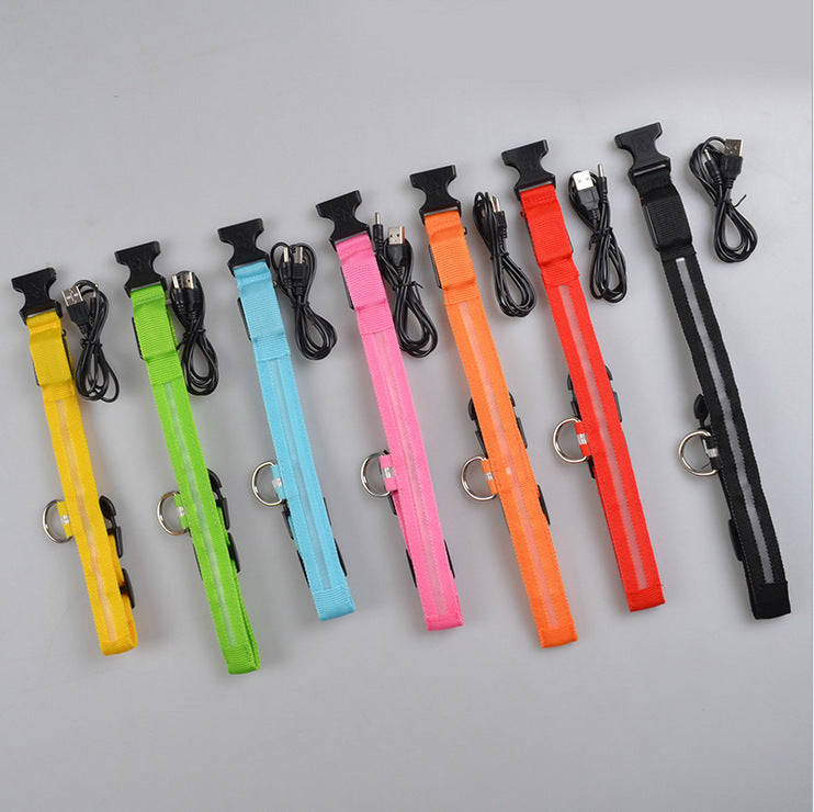 Premium LED Pet  Collar Night.
