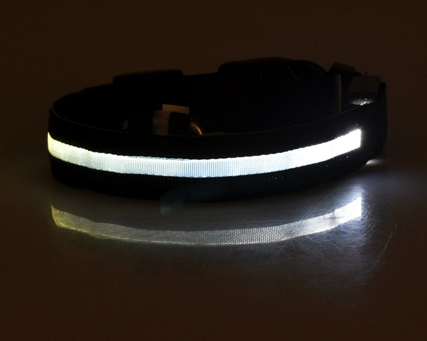 Premium LED Pet  Collar Night.