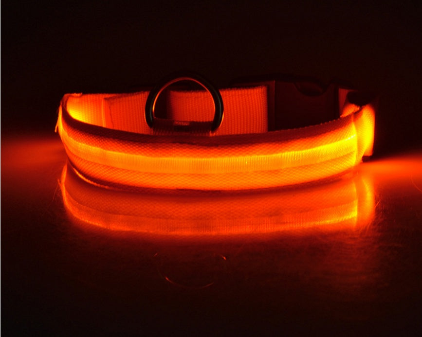 Premium LED Pet  Collar Night.