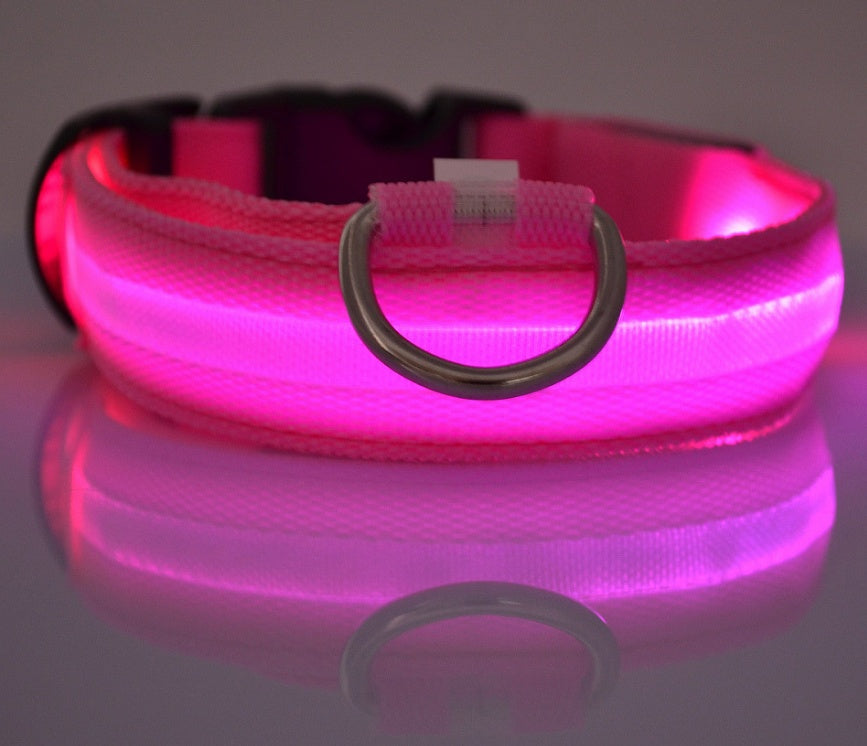 Premium LED Pet  Collar Night.