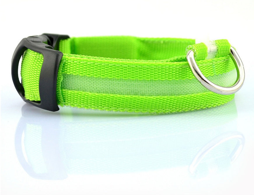 Premium LED Pet  Collar Night.
