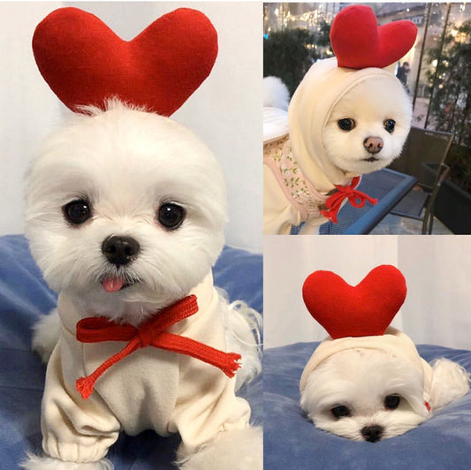 Premium Dog Hoodies & Winter Warmers