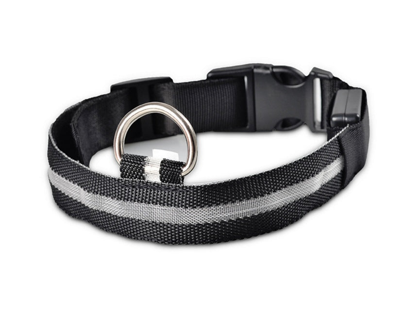 Premium LED Pet  Collar Night.