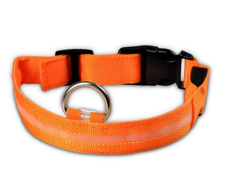 Premium LED Pet  Collar Night.