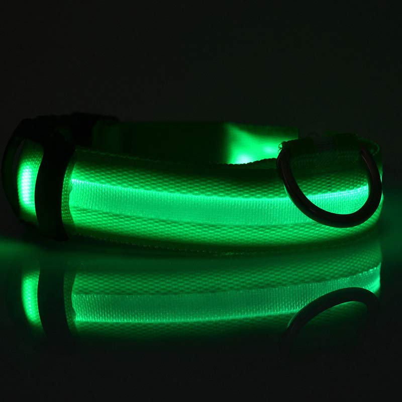 Premium LED Pet  Collar Night.