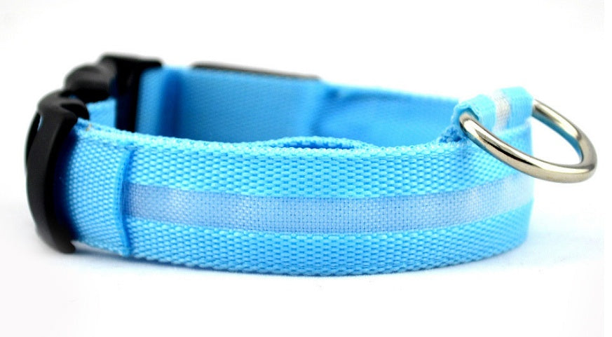 Premium LED Pet  Collar Night.