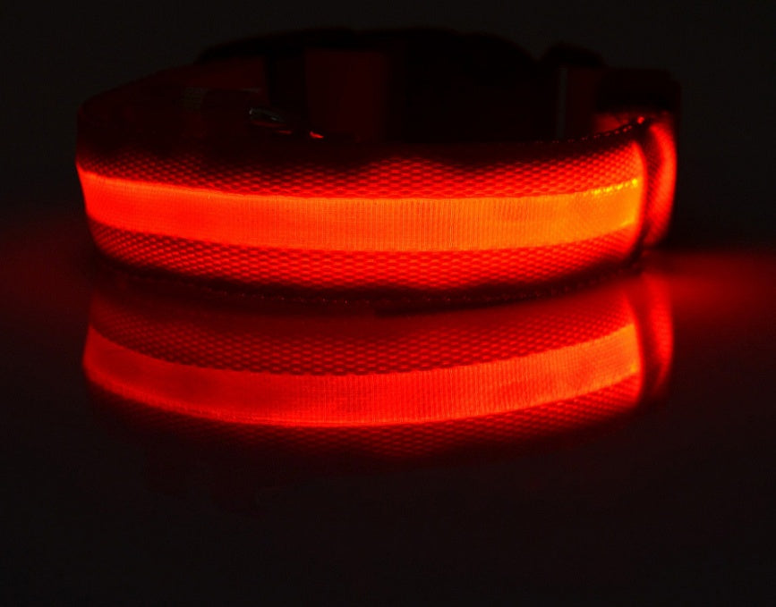 Premium LED Pet  Collar Night.