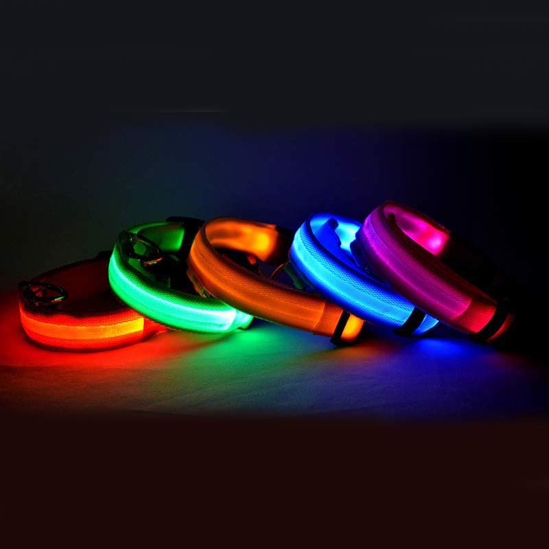 Premium LED Pet  Collar Night.