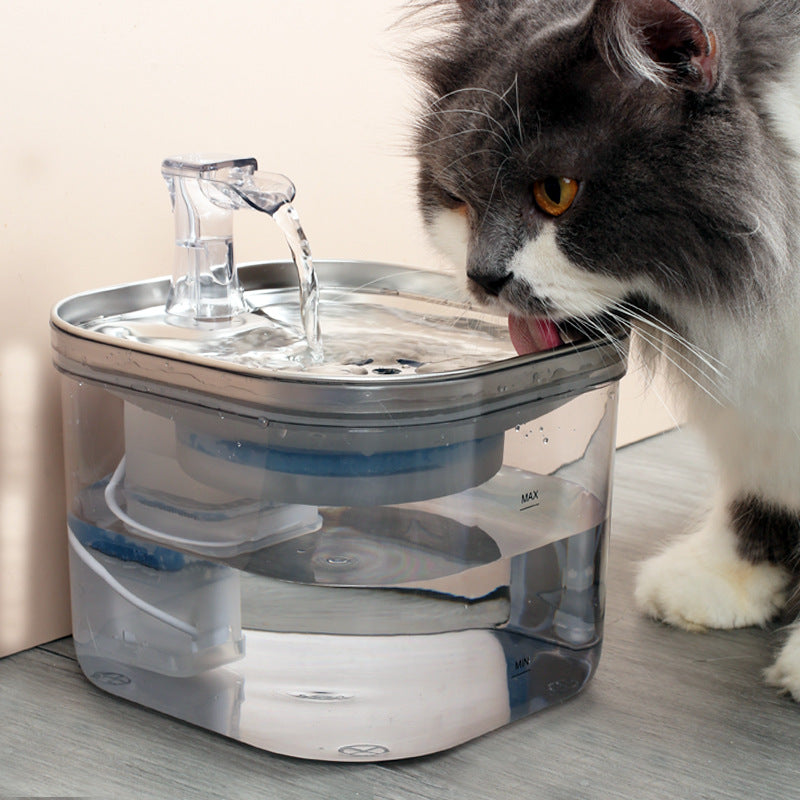 PREMIUM Stainless Automatic Water Fountain