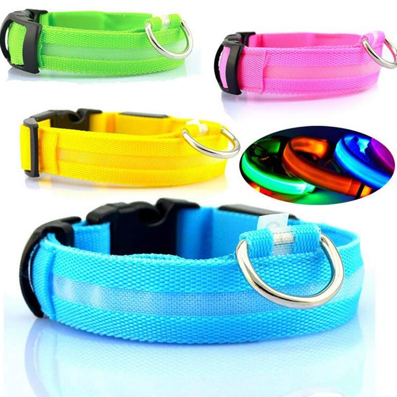 Premium LED Pet  Collar Night.