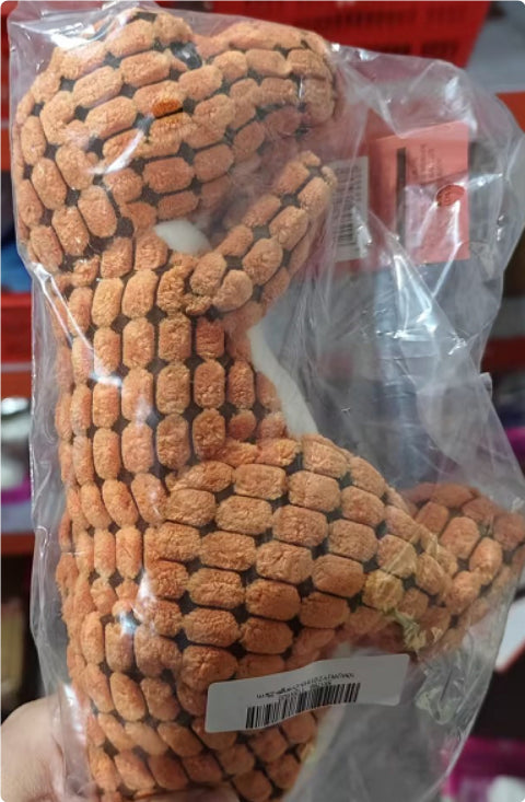 Dino Pet Toys Interactive Dog.