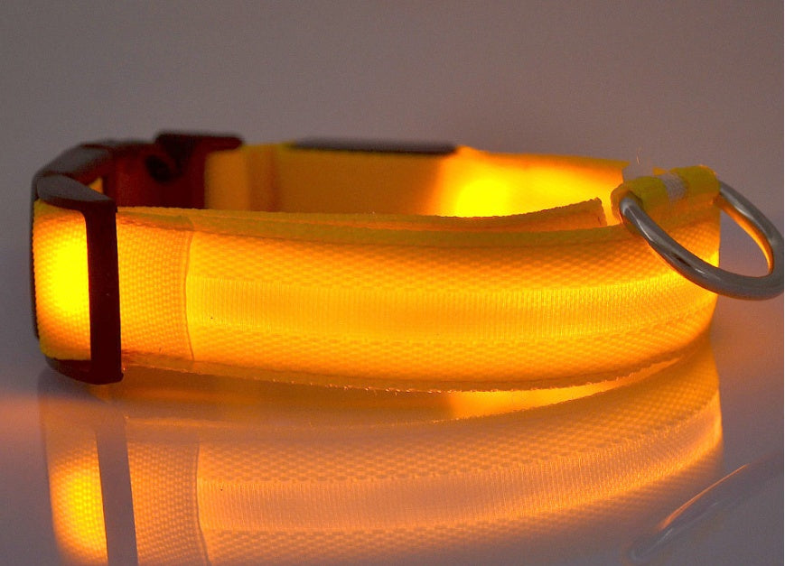 Premium LED Pet  Collar Night.