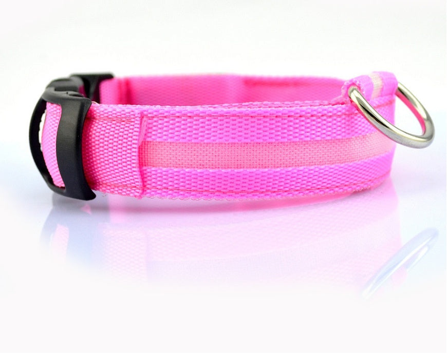 Premium LED Pet  Collar Night.