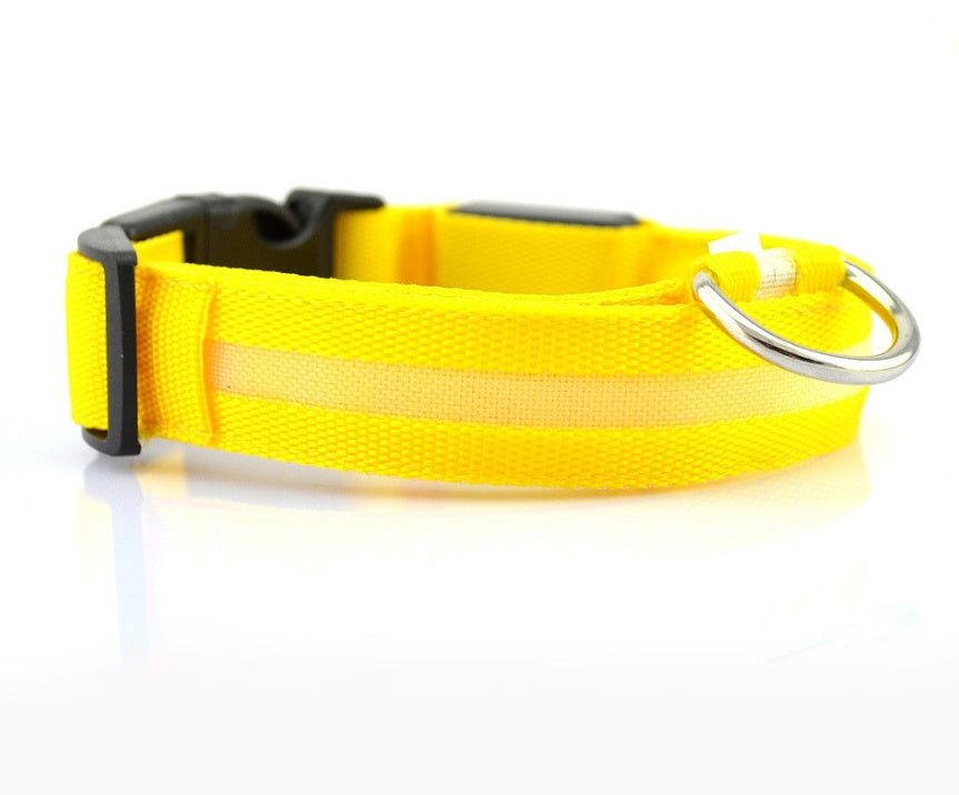 Premium LED Pet  Collar Night.