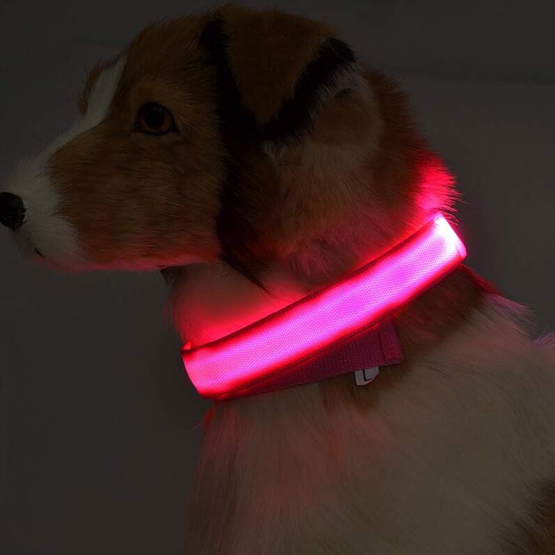 Premium LED Pet  Collar Night.