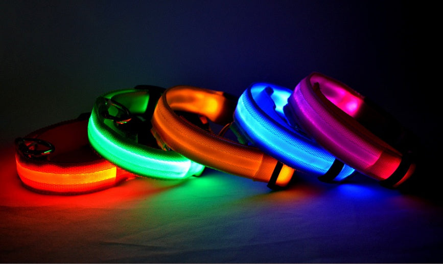 Premium LED Pet  Collar Night.