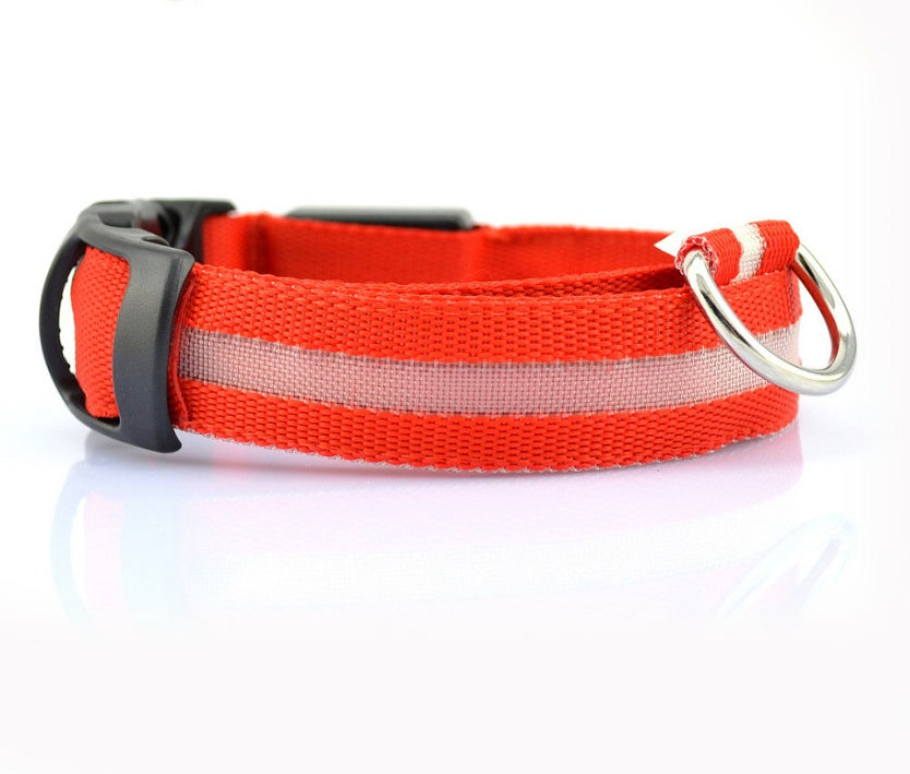 Premium LED Pet  Collar Night.