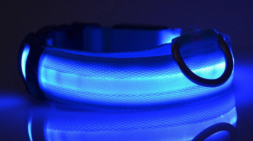 Premium LED Pet  Collar Night.