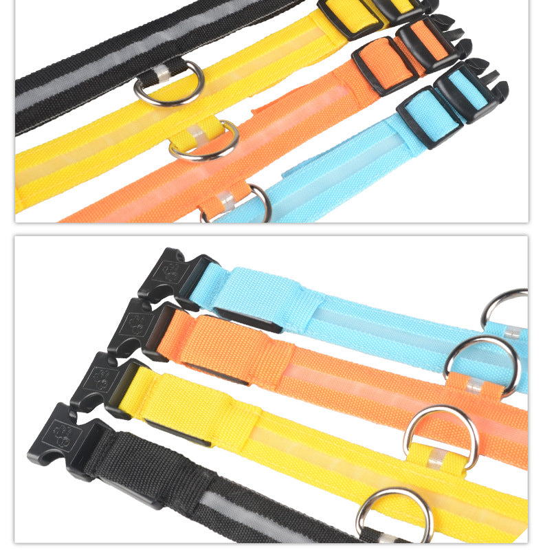 Premium LED Pet  Collar Night.