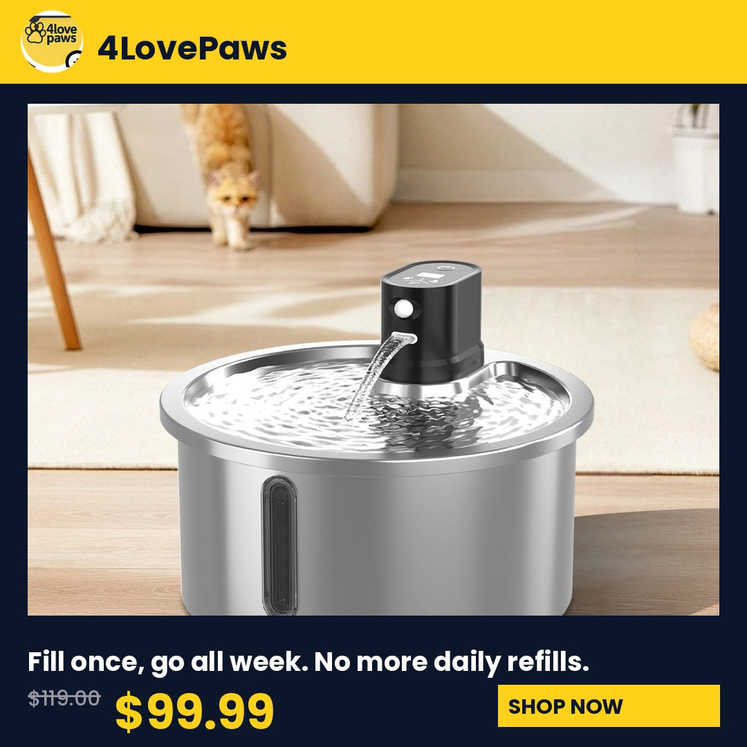PREMIUM  Stainless Steel Heated Pet Water Fountain
