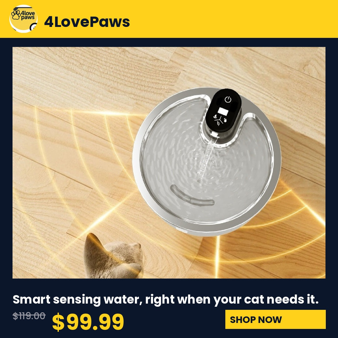 PREMIUM  Stainless Steel Heated Pet Water Fountain