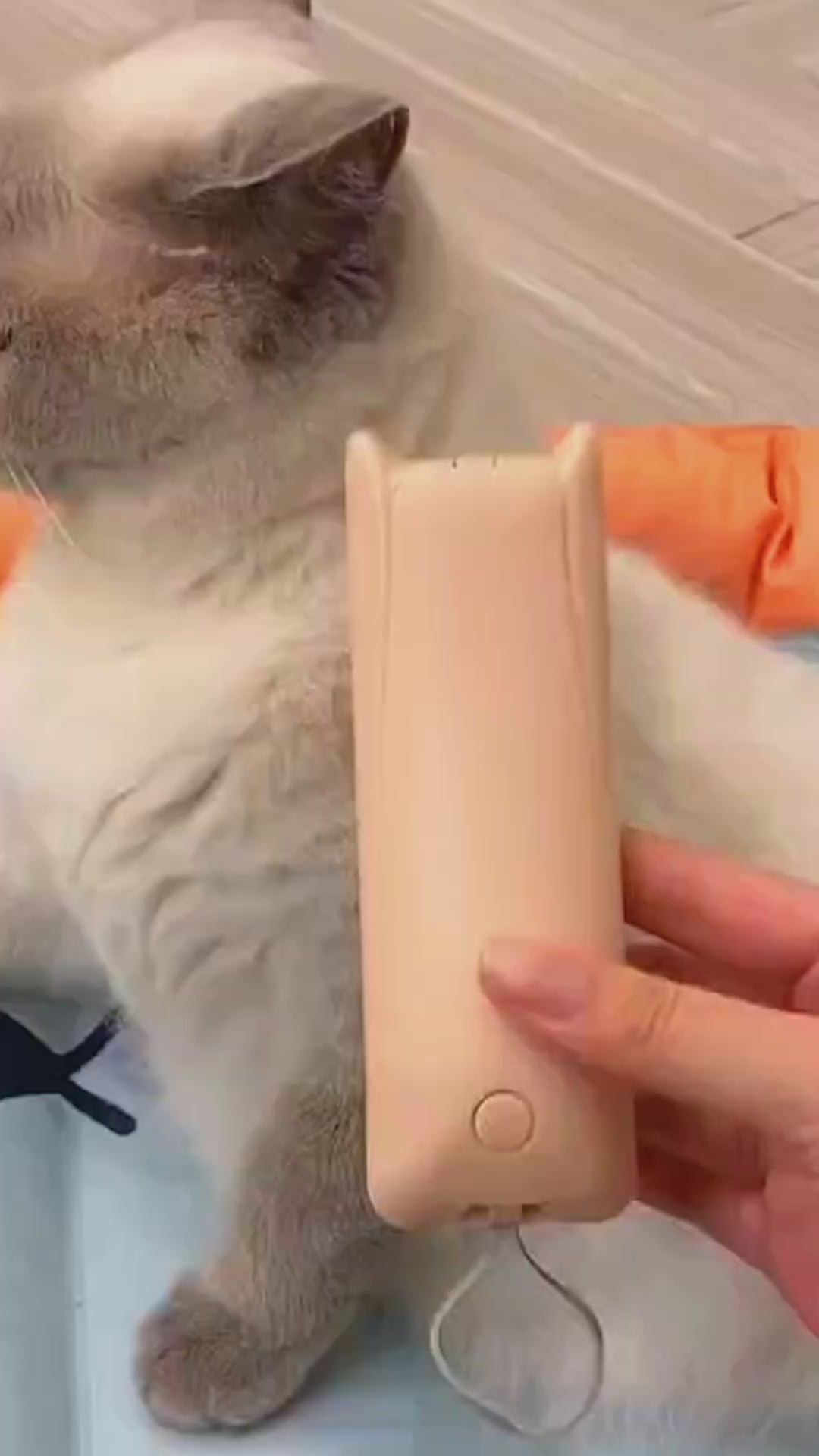 Premium Pet Hair Removal Brush