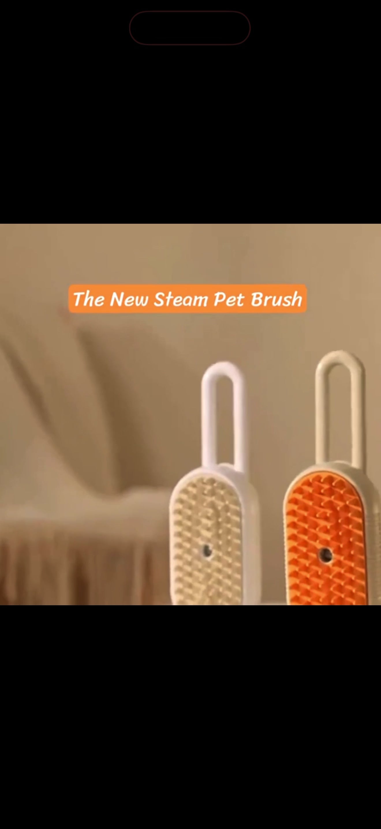 Premium Steam Brush